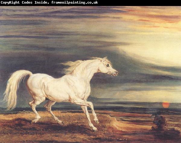 James Ward Napoleon's Horse,Marengo at Waterloo